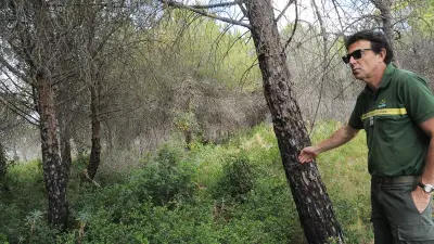 Le risque zéro n’existe pas : des forêts entretenues pour lutter contre les incendies
