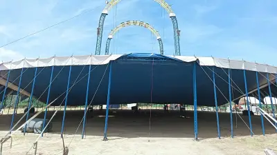 Les 50 étalons des Folies Gruss arrivent à Béziers pour l'été