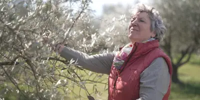Les pouvoirs insoupçonnés de la nature : une balade entre jardins et forêts sur France TV