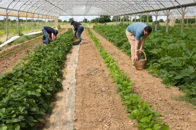 Loi d'urgence agricole : un projet contraire aux nécessités écologiques