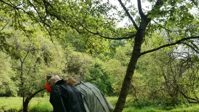 Marche dansée 4x4 : une expérience immersive entre danse et paysage en Lozère