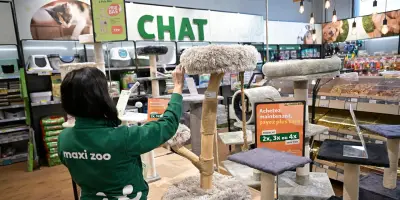 Maxi Zoo vise les centres-villes après une année record
