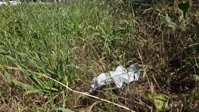 Nourrisson retrouvé en forêt : la mère de 19 ans en garde à vue