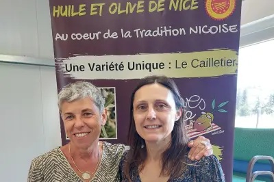 Olive de Nice : sécheresse, ravageurs, eau, les défis climatiques de la filière