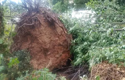 Orages violents en Bretagne : un maraîcher bio dévasté à Pancé