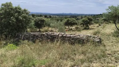 Renaissance d'un vallon à Sernhac : un travail de Romain