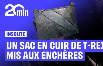 Sac à main en cuir de T-Rex vendu 300 000 € aux enchères à Paris