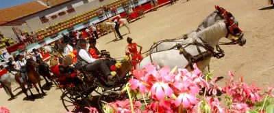 Sortir à Montpellier : Romeria, transhumance, 34 degrés… ce week-end du 5 au 7 juin
