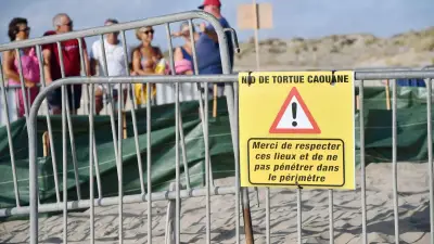 Sète : début de la saison de ponte des tortues, consignes à respecter