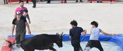 Toro piscine, belote, cirque et rock : l'été s'annonce animé à Alès