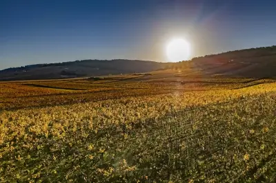 Un épisode El Niño exceptionnel pourrait frapper en 2026-2027