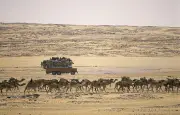49 Nigériens meurent dans le désert à la frontière algérienne