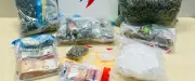 6 kg de drogue saisis à Montpellier : un trafic démantelé aux Près d'Arènes