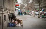 929 SDF morts en 2025 : hommage à Paris ce mardi