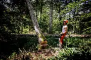 Accidents du travail en France : la sécurité des jeunes devient prioritaire