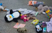 Affaire Lyhanna : l'épouse du suspect dépose plainte pour viols et violences conjugales