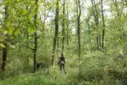 Affaire Lyhanna : un corps découvert près du lieu de sa disparition