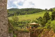 Alsace : La Tournée des terroirs 2026 débute