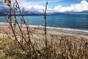Antibes : levée de l'interdiction de baignade sur trois plages après analyses
