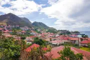 Antilles : 80% des adultes contaminés au chlordécone, 30 ans après son interdiction