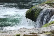 Assises du droit de la nature à Toulon : vers une personnalité juridique du vivant