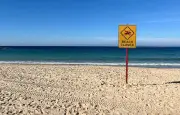 Attaque de requin à Sydney : une nageuse grièvement blessée