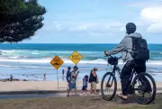 Australie : un plongeur tué par un requin, quatrième attaque mortelle de l'année