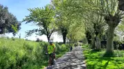 Balade à vélo gourmande à Lodève pour découvrir le terroir
