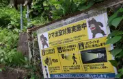 Banlieue de Tokyo s'équipe de bombes anti-ours après des attaques record