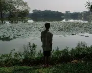 Birmanie : témoignage glaçant d'un opposant violé par l'armée