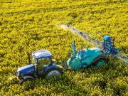 Cadmium : sept ans d'alertes, zéro décision, la Macronie pointée du doigt