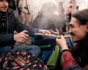 Canada : légalisation du cannabis, les consommateurs ont du pot