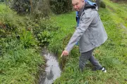 Canal contaminé par les eaux usées d'un camp de gens du voyage à Cagnes-sur-Mer