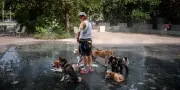Canicule : 61 départements en vigilance rouge vendredi