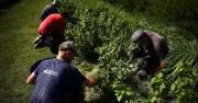 Canicule : la France championne d'Europe de la baisse de productivité