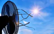 Canicule : prix des climatiseurs en hausse de 9% en un mois