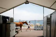 Cannes : le Jumping International transforme Pointe Croisette, entre joie et contraintes