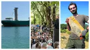 Cargo éolien, Marie Durand, ginkgo 295 millions ans : actu régionale