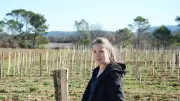 Chantier participatif pour aider une vigneronne en agroforesterie