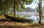 Chasse au trésor en Finlande : un lingot d'or de 20 000 € à gagner