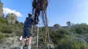 Cirque de Mourèze : méduses et poissons réapparaissent au cœur des dolomies