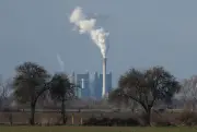 COP31 à Bonn : les pays posent les jalons des négociations climatiques