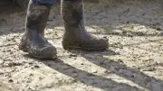 Coulée de boue en Haute-Savoie : deux blessés, une vingtaine évacués