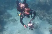 Découverte archéologique majeure : les épaves des vrais pirates des Caraïbes