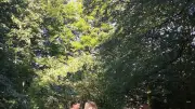 Des écoliers deviennent Petits ambassadeurs Natura 2000 à Fraisse-sur-Agout