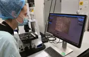 Des neurones humains cultivés en laboratoire apprennent à jouer à Doom