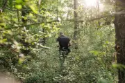 Disparition de Lyhanna : enquête administrative sur le traitement d'une plainte pour viols