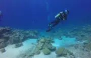 Disparue en mer 8 heures, une plongeuse retrouvée vivante en Espagne