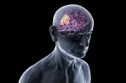 Disqualifier la vision romantique des maladies neurodégénératives