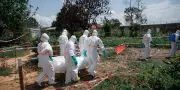 Ebola en Afrique centrale : ce que l'on sait de la nouvelle épidémie